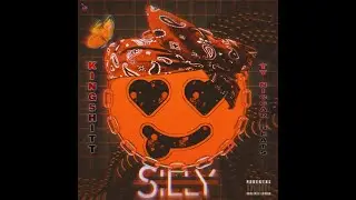 Kingshitt HrN  x  Ty Niccar Beats - SILLY (Official Video)