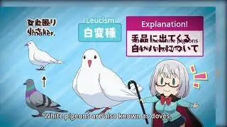 Tejina Senpai Giving Birth to a Pigeon Trick | 60fps