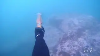 Oregon Freediving and spearfishing