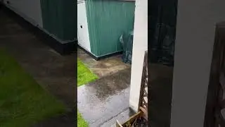Beautiful July morning! Only in Ireland! #summer #summershorts #july #shorts #rain #dublin #ireland
