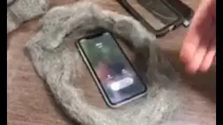 iPhone calls catch&rsquo;s steel wool on fire! 🔥 True or False?