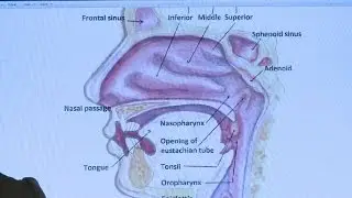 Study Shows Mouth Exercises Could Reduce Snoring