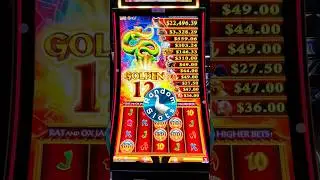 I Like Rams and Pigs   #slots