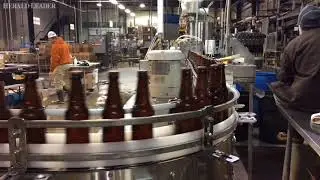 Alltech Brewing
