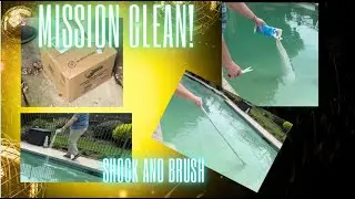From Green to Clear: Pool Shock & Brush Transformation with Papa Knows Stuff