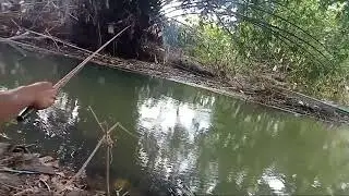 Mancing gayeng bersama mas Arip