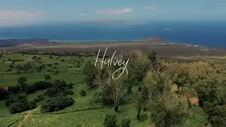 Hulvey - Don't Play Cheap (Lyric Video)