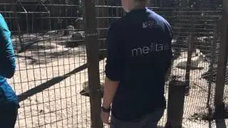 How Reiki Treatments Bring Peace to Rescued Farm Animals | Animal Reiki Source