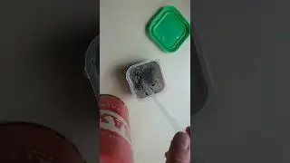 5. Rocks + Washing Liquid | DIY Europa (Jupiter's Moon) #weirdscience #microscope #backyardscience