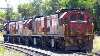 Returning light: String of 4 Diesel locomotives to BELLVILLE TRANSNET depot | Train South Africa