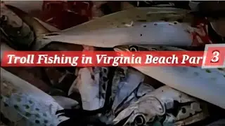 CATCH & CLEAN: Trolling in Virginia Beach- FUN, Family, & Fishing (S3, E3)