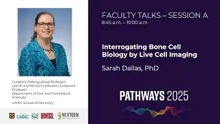 Interrogating Bone Cell Biology by Live Cell Imaging | Sarah Dallas, PhD
