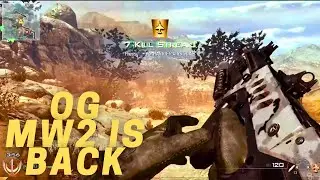 The old CALL OF DUTY servers were RESTORED along with my faith in humanity&hellip;