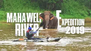 Mahaweli River Expedition l Adventure with Elephants l Kayaking l Elephant Encounter