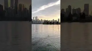 Amazing Sunset In VANCOUVER! 🇨🇦