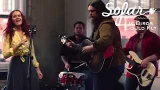 If Birds Could Fly - Train To Memphis | Sofar Dallas - Fort Worth
