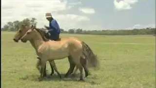 Guy McLean Promo