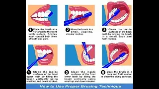 Brushing Mistakes Everyone Makes | Dental Care Tips in Punjabi