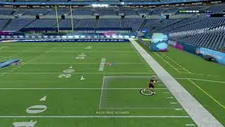 Perfect Passer Madden 20