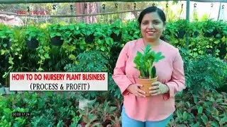 How to do plant business & profit| Plant nursery in Delhi| Cheapest nursery in delhi| The Thaat