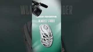 Обзор покороче WLmouse Strider #tech #pcsettings #wlmouse