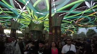 Arvore da Vida 2025 - 1200 Micrograms