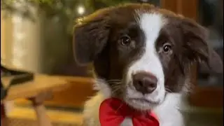 Vlog z Vánoc a ze silvestru💕🎆🎇🎄🎅