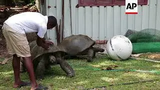 REPLAY Seychelles protects its marine life in exchange for debt relief