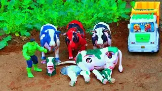 WADIDAU !! PROSES POTONG SAPI KURBAN