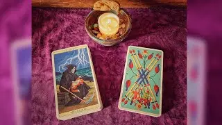 Marseille Cat Tarot ~ First Impressions