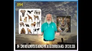 894 COMO NO&Eacute; ALIMENTOUS OS ANIMAIS POR 365 DIAS  DENTRO DA ARCA LIVE  24-01-2026