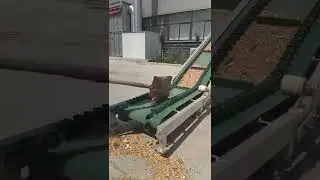 Skirt climbing conveyor, conveying bulk grain, biological particles, powder, dry