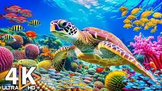 4K Ocean Dreams - Colorful Coral Fish & Jellyfish - Calming Music for Meditation and Study #19