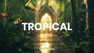 Vocalbeets - Tropical (Vocals Only) #halal #vocalsonly