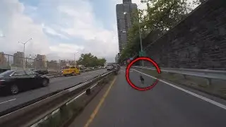 Runaway Dog Leads Good Samaritans on Chase Through New York City