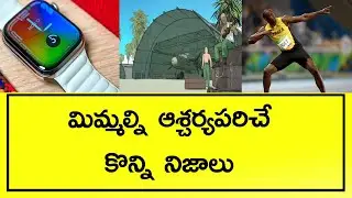 Top Interesting Facts In Telugu || facts in telugu || Nikytes