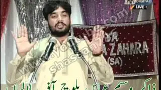 Zakir Waseem Abbas Baloch | Jashan Bibi Fatima Zahra(s.a) | DM Digital TV (17/05/2012)