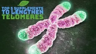 Top 5 Supplements to Lengthen Telomeres | Boost Your Cellular Health & Slow Aging