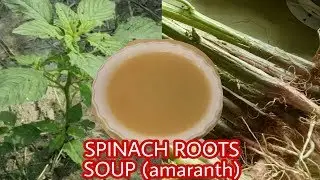 HOW TO COOK SPINACH ROOTS SOUP (amaranth) + HEATH BENEFITS