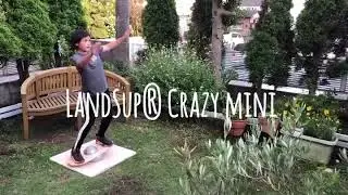 LandSup&reg;Crazy mini x volleyball,Surf,Study,Seesaw?