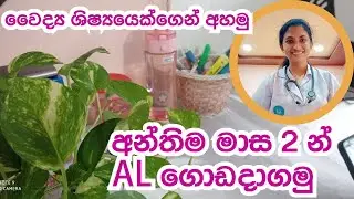 Last two months study secrets| study for AL| medical student tips