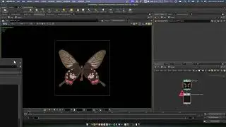 Writing Python COP Generators / Filters in Houdini (Re-recorded)