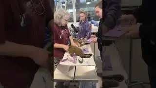 Rescued Bobcat Essey Wellness Exam ❤️🩺 || The Wildcat Sanctuary