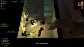 Dead Frontier Multiplayer problems