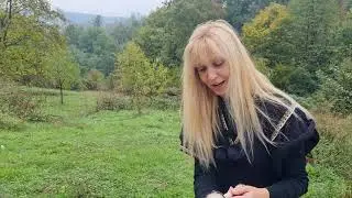 Čudo od gljive -ČUPAVA MASTILJARA