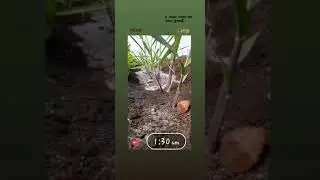 farmers sad feeling song