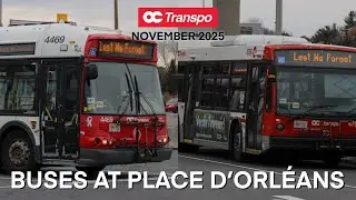 OC Transpo Buses at Place D’Orleans Station - November 2025