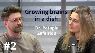 Growing brains in a dish: stem cells and organoids with Dr. Patapia Zafeiriou