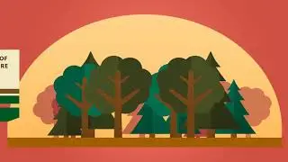 Our product sustainability & legality short story