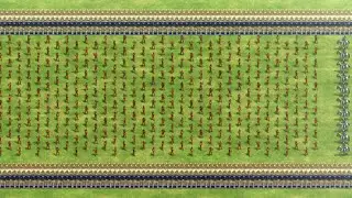 500 militia vs 10 elite Cataphracts